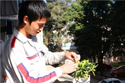 綠色環保，男生也愛小盆栽